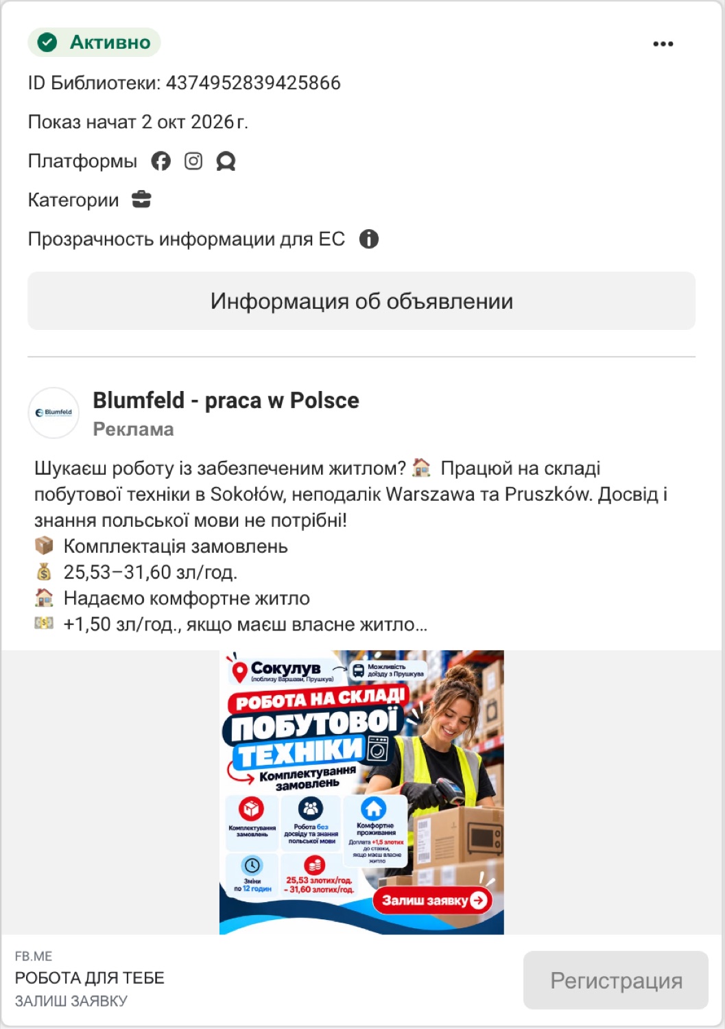 Blumfeld, Sokołów